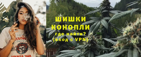 прущие грибы Алексин