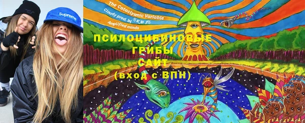 прущие грибы Алексин