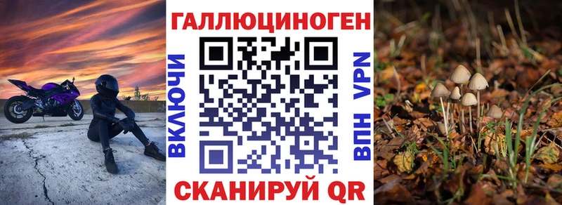 Псилоцибиновые грибы Cubensis  продажа наркотиков  Бавлы 